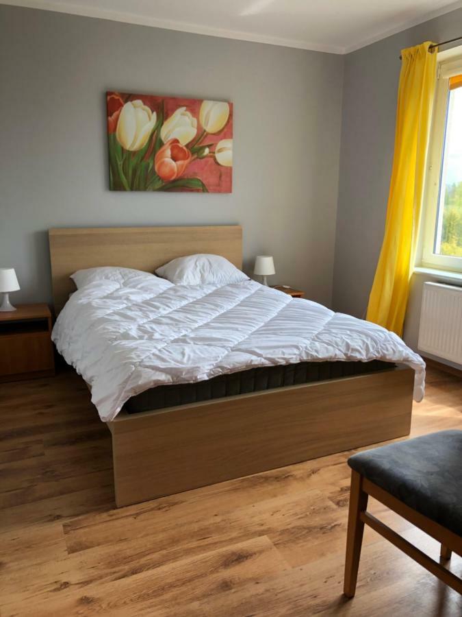Rybitwa Debki Apartment ภายนอก รูปภาพ